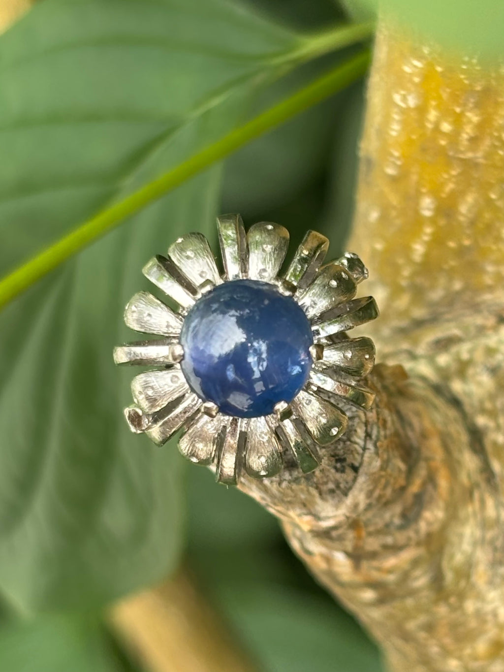 Pre-loved 3.44ct Cabochon Star Sapphire 14ct White Gold Ring