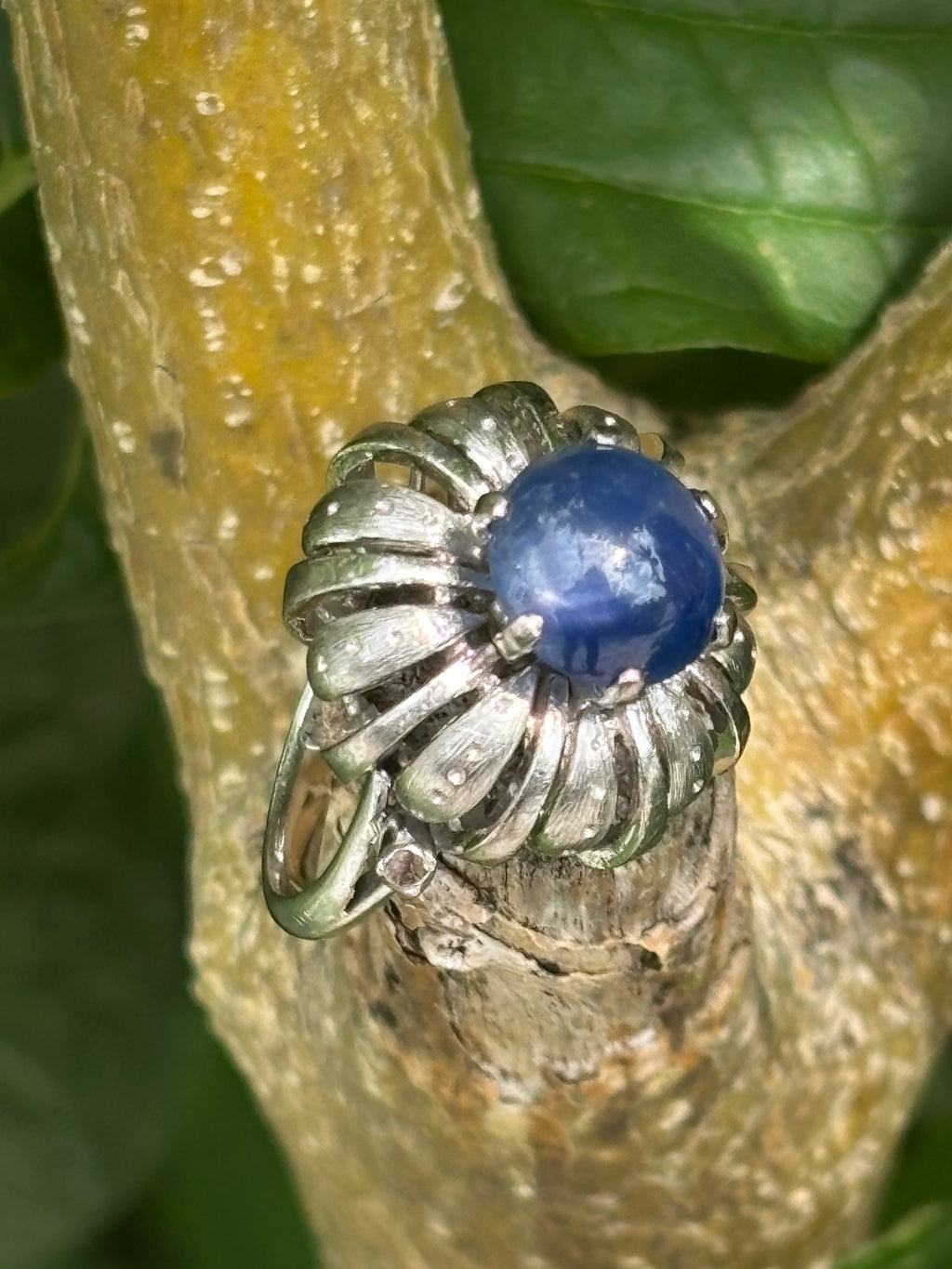 Pre-loved 3.44ct Cabochon Star Sapphire 14ct White Gold Ring