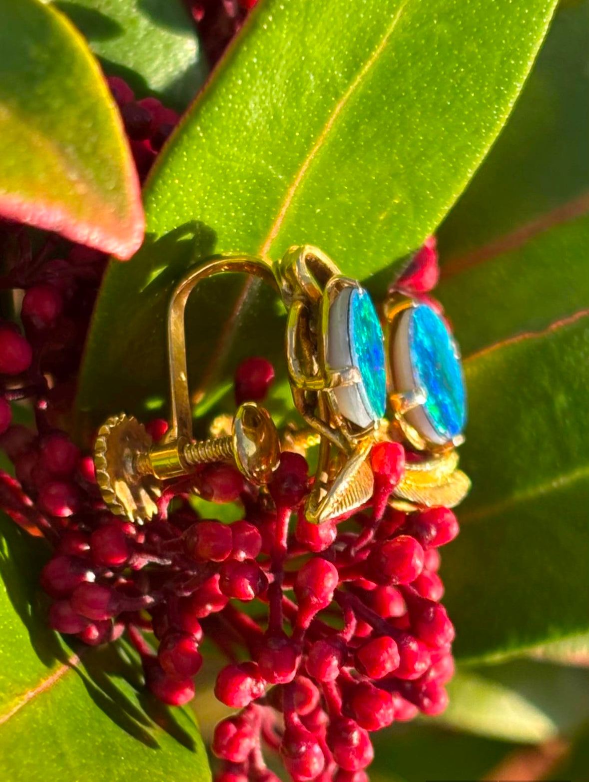 Striking 1.5ct Opal 9ct Gold Screw Back Earrings