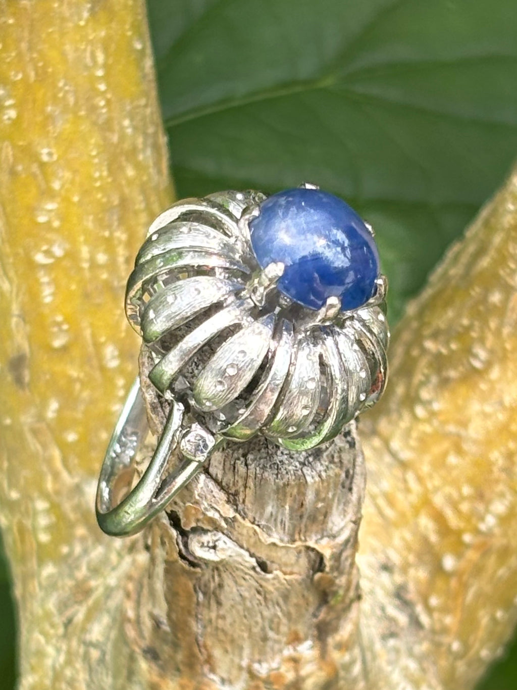 Pre-loved 3.44ct Cabochon Star Sapphire 14ct White Gold Ring