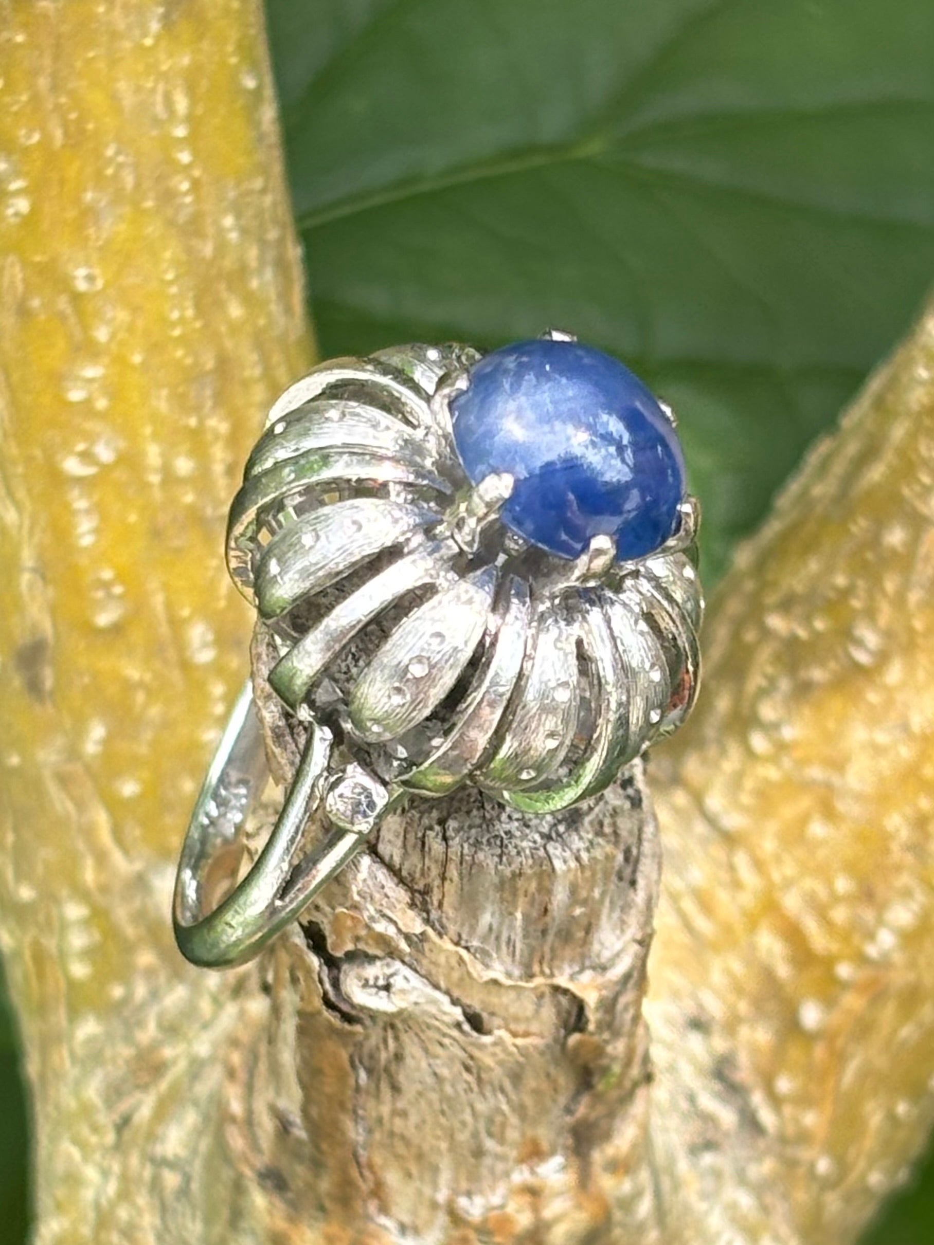 Pre-loved 3.44ct Cabochon Star Sapphire 14ct White Gold Ring