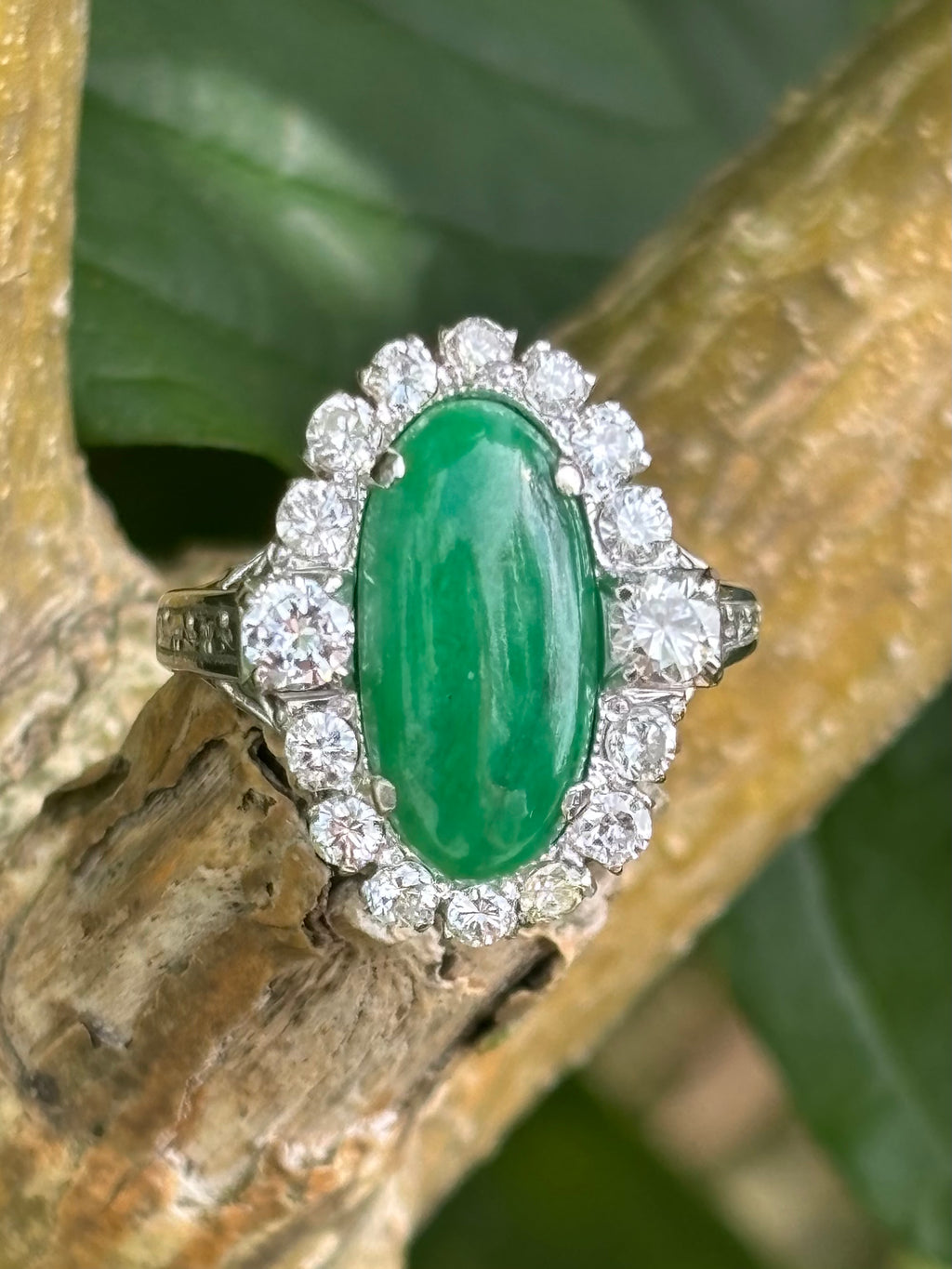 Pre-loved 1ct Diamond & 10ct Jade set in 14ct White Gold Ring