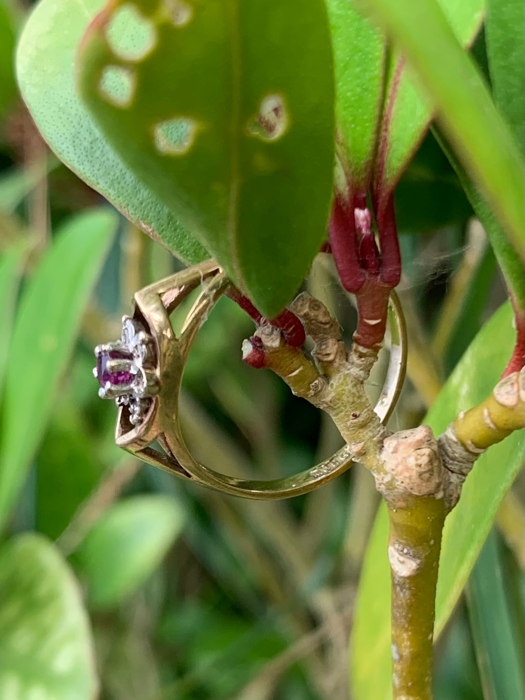 Beautiful 9ct Gold Ruby & Diamond Ring
