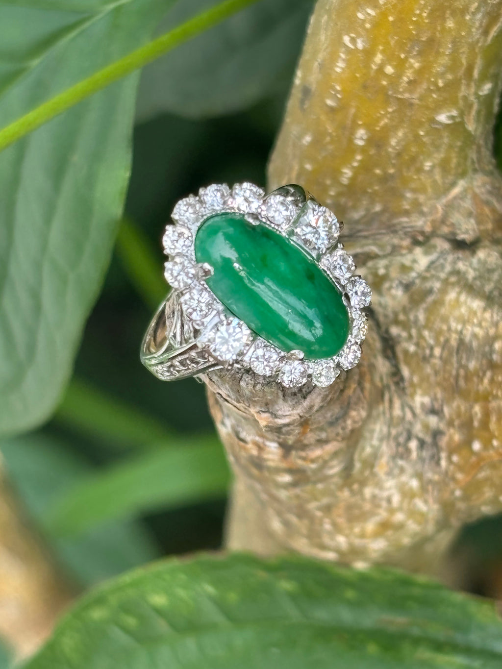 Pre-loved 1ct Diamond & 10ct Jade set in 14ct White Gold Ring