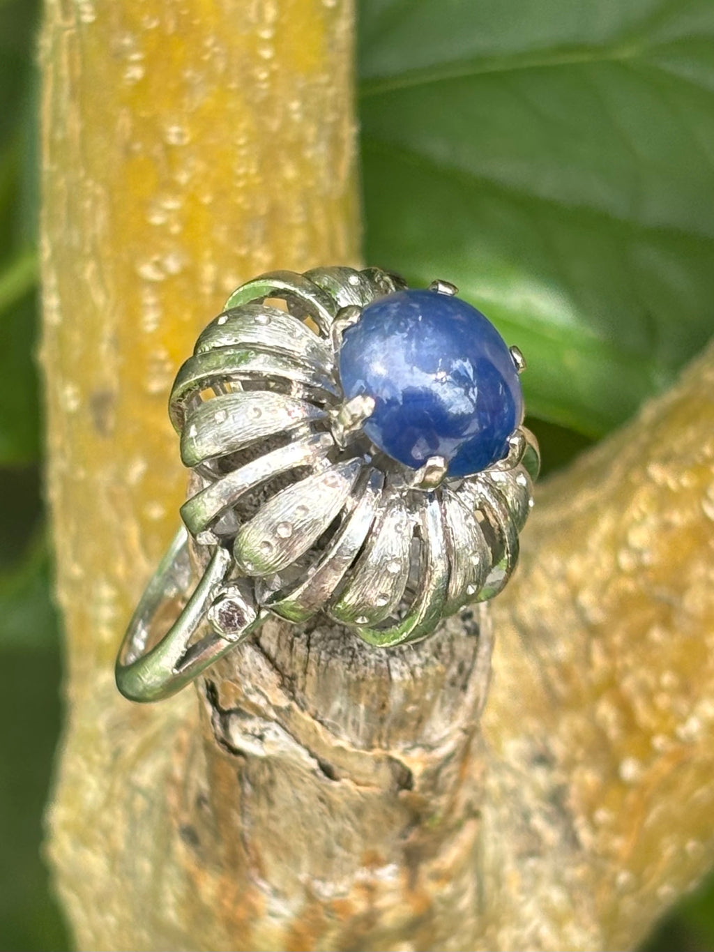 Pre-loved 3.44ct Cabochon Star Sapphire 14ct White Gold Ring