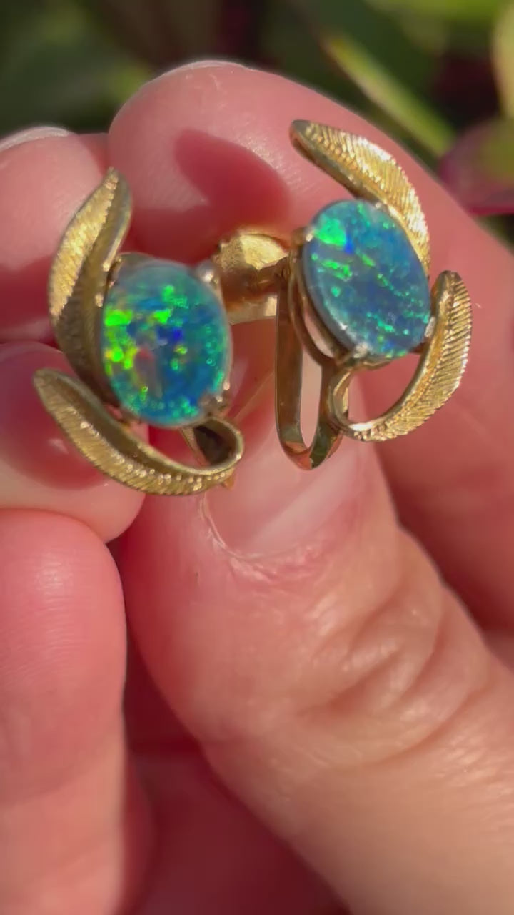 Striking 1.5ct Opal 9ct Gold Screw Back Earrings