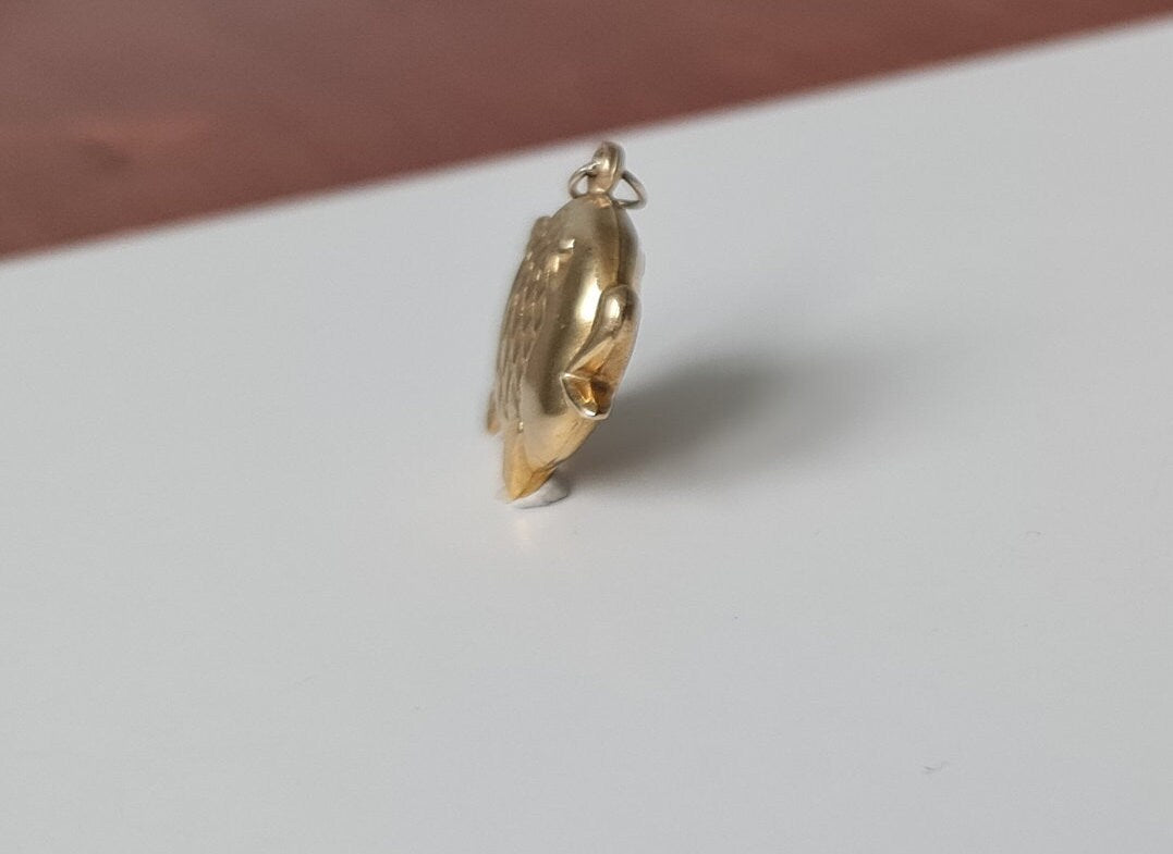 Colgante con dije de pez en oro de 9 quilates